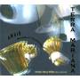 Arsis Handbell Ensemble / Polda - Terra Mariana