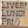 Frightened Rabbit - Quietly Now! Midnight Organ Fight Live..