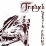The Bevis Frond - Triptych