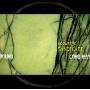 Acoustic Syndicate - Long Way Round