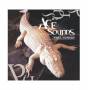 Ace Sounds - Still hungry