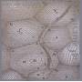 Sylvie Courvoisier - Signs & Epigrams