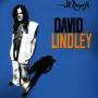 David Lindley - El Rayo-x