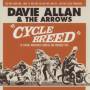 Davie Allan & The Arrows - The Cycle Breed
