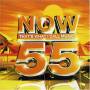 V / A - Now That's What I Call Music Vol. 55