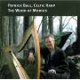 Patrick Ball - The Wood of Morois