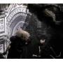 Phantom Orchard Ensemble - Through The Looking-Glass