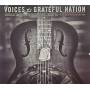 Voices Of A Grateful Nation: Supporting American T - Voices Of A Grateful Nation 2 / Various
