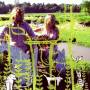 Plants - Mind Is A Bird In The Hand