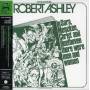 Robert Ashley - In Sara Mencken.christ & Beethoven The