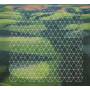 Henry Plotnick - Fields