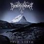 Borknagar - True North