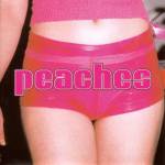 Peaches - The Teaches Of Peaches (Reissue)