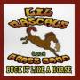 Lil Rascals Brass Band - Buck It Like A Horse