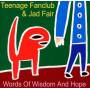 Teenage Fanclub - Words Of Wisdom & Hope