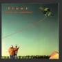 Fiver - Strings For Satelites