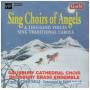 Salisbury Cathedral Choir - Sing Choirs Of Angels: 1000 Voices Sing Carols