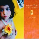 Jun Miyake - Innocent Bossa In The Mirror