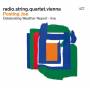 Radio.string.quartet.vienna - Posting Joe-Celebrating Weather Report-Live