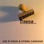 Joe D'urso & Stone Caravan - Cause...