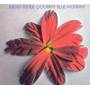 Jeremy Fisher - Goodbye Blue Monday