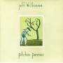 Jeff Wilkinson - Pitchin Pennies