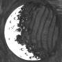 Matt Karmil - ----