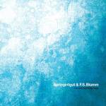 Springintgut / F.s. Blumm - The Bird and White Noise
