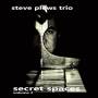 Steve Plews Trio - Secret Spaces - Vol 2