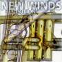 New Winds - Potion