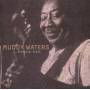 Muddy Waters - Honey Bee