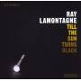 Ray Lamontagne - Till The Sun Turns Black