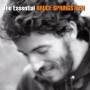 Bruce Springsteen - Essential Bruce Springsteen