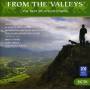 V / a - Folklorica: From The Valleys / Various