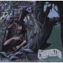 Pigeon Toe - The First Perception