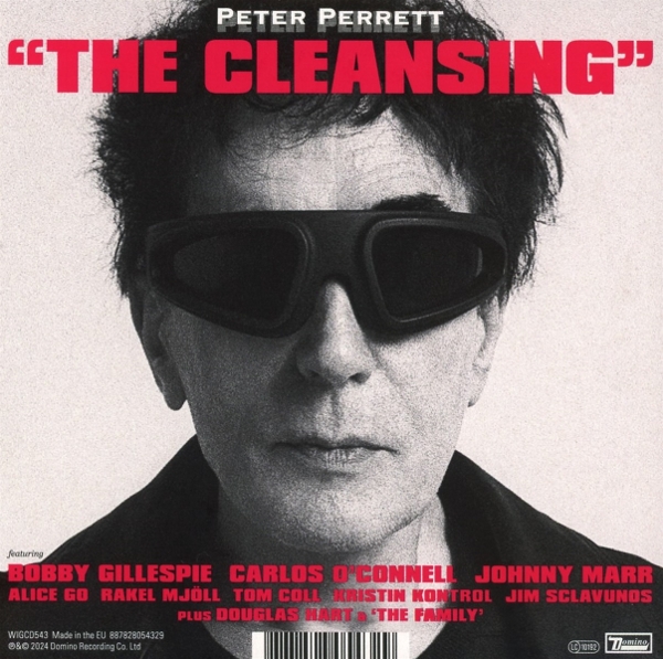 The Cleansing 1