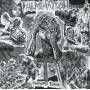 Fulmination - Humanitys Dirge