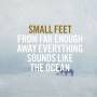 Small Feet - From Far Enough Away Everything Sounds Like