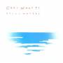 Cest What?! - Still Waters