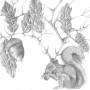 Seven Year Rabbit Cycle - Ache Horns