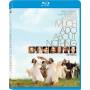 Much Ado About Nothing (1993) / (ws) - Much Ado About Nothing (1993) [Regio free (0)]