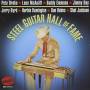 V / A - Steel Guitar Hall Of Fame / Various