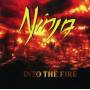 Ninja - Into The Fire