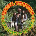 Israel Vibration - Strength Of My Life (Remastered 180g Vinyl LP)