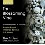 Dougan / The Sixteen - The Blossoming Vine-Italian Maestri in Poland