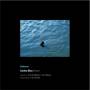 Carlos Bica - Believer
