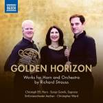 Christoph Ess / Sonja Gornik / Sinfonieorchester A - Golden Horizon