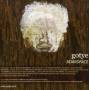Gotye - Boardface