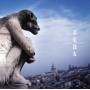 L'arc-en-ciel - Real