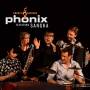 Phonix Feat. Sangka - Groovy Guzheng